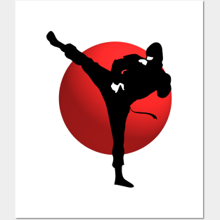 Ninja Kicking Pose - Japanese Martial Arts Posters and Art